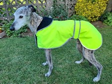 Factory second greyhound - greyhound, /
