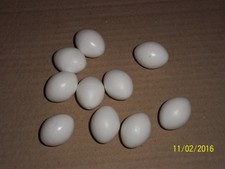 Dummy false budgie eggs - x,