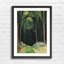 Green Forest Tree Trunks