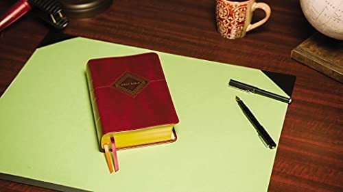 Niv the grace and - grace, study