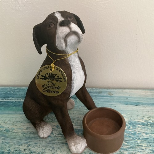 Leonardo collection boxer - collection, dog