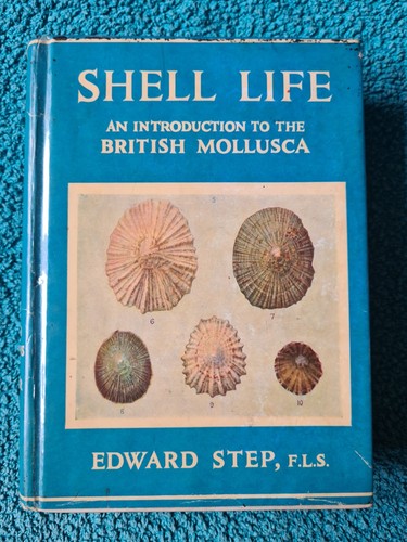 Wayside woodland shell life - wayside, &