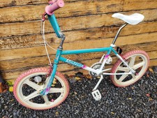 Raleigh Styler Mag Mk2