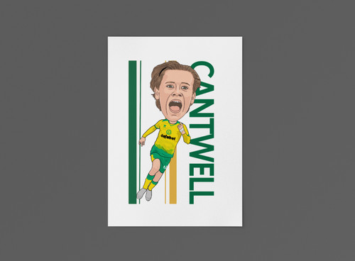 Todd cantwell norwich city - todd,