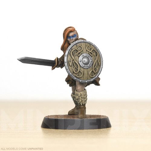 Viking saxon barbarian - viking,