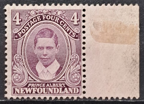 Newfoundland 1911 coronation - newfoundland,