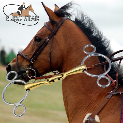 Universal ring gag bit - 3,