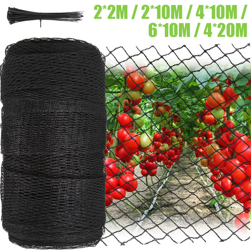 Anti bird netting 6m 8m - netting,