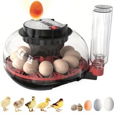 Electric 12 Eggs Incubator