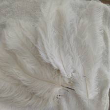 35 large white marabou feathers crafts flower arranging wedding 