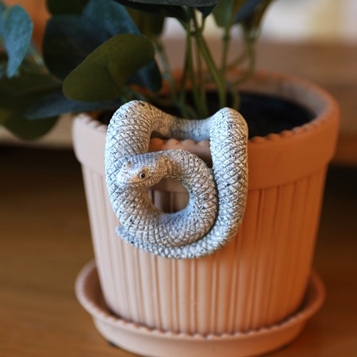 Resin stone snake plant - resin, pot