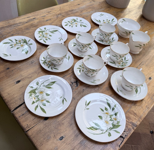 Shelley vintage bone china - shelley,