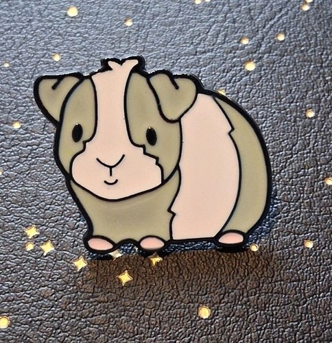 Guinea pig pet - pig,