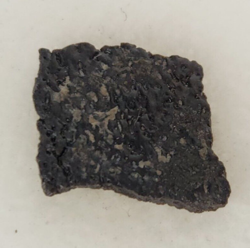 Hadrosaur egg shell - egg,