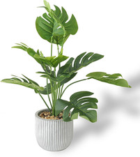 Artificial Plants in Pots