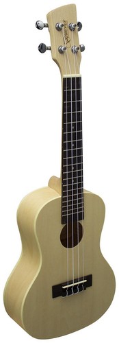 Brunswick ukulele concert - brunswick,
