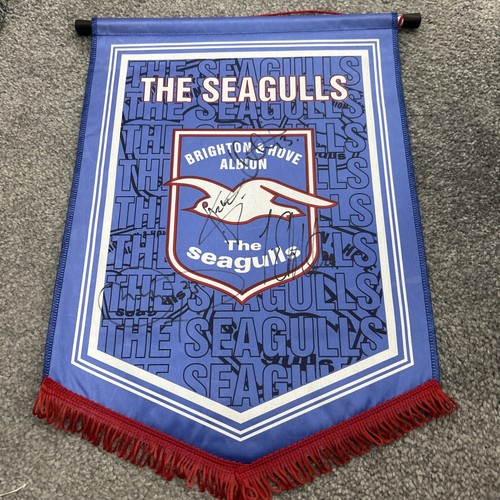 Brighton hove albion - &,