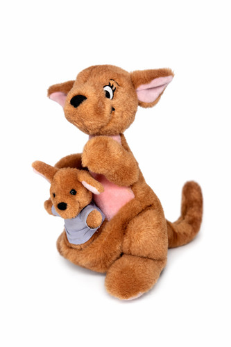 Disney winnie the - pooh, kanga