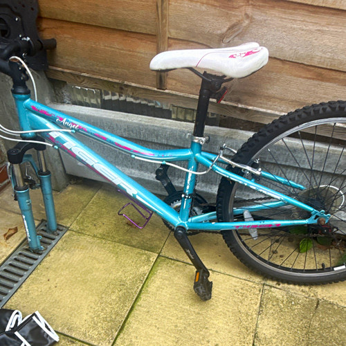 Raleigh angel bmx bike - raleigh,