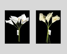 6 Stem Foam Calla Lily Flower