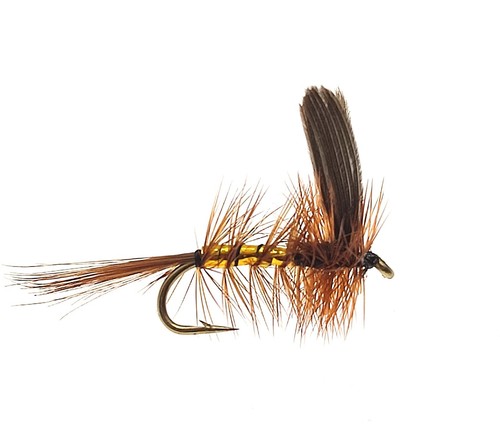 Wickhams fancy dry - fancy, flies