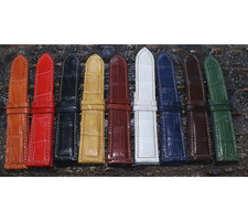 Genuine Crocodile Alligator