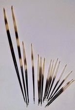 Porcupine Quill coarse fishing