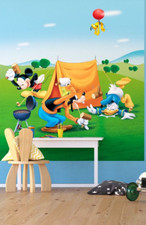 Disney Wall Mural bedroom