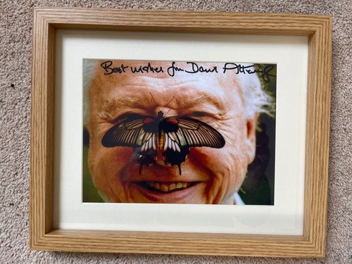 Stunning david attenborough - stunning,