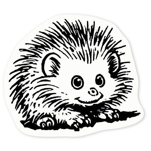 African pygmy hedgehog - hedgehog', clear