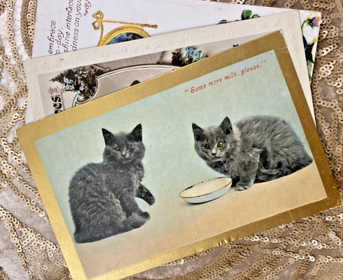 1900 1915 trio - 1900-1915, antique