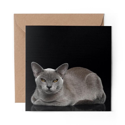 Blank greeting card - x,