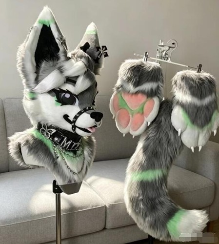 Fursuit long fur husky fox - fursuit,