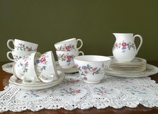 Vintage Wedgewood Devonsprays