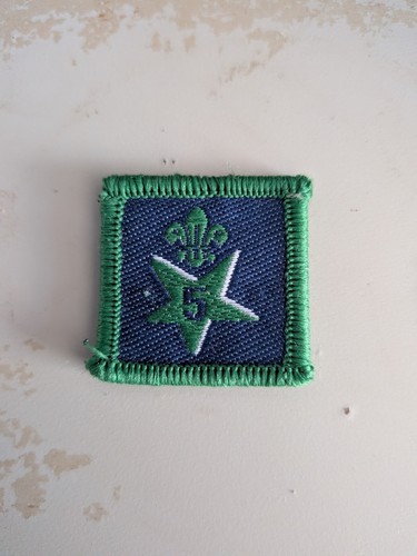 Scout year badge years - scout,