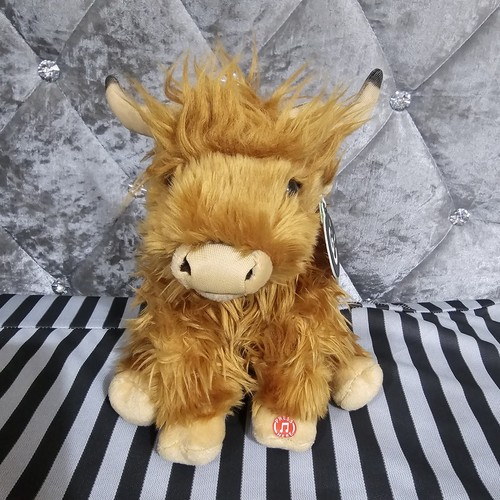 Living nature highland cow - living,