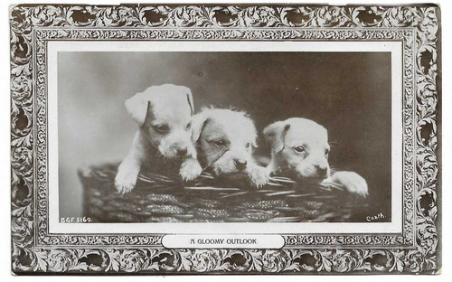 Vintage real photo postcard - vintage,