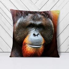 Plump Cushion Orangutan Monkey