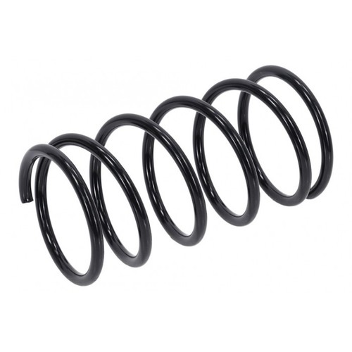 Front shock absorber - absorber, spring