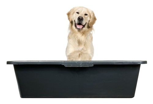 Dog cat pet washing bathtub - cat,