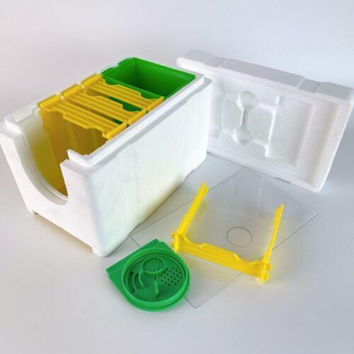 Simple beekeeping bee queen - beekeeping,