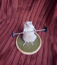 Cute Mouse Taxidermy Weight