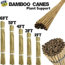 Bamboo Canes Heavy Duty Thick