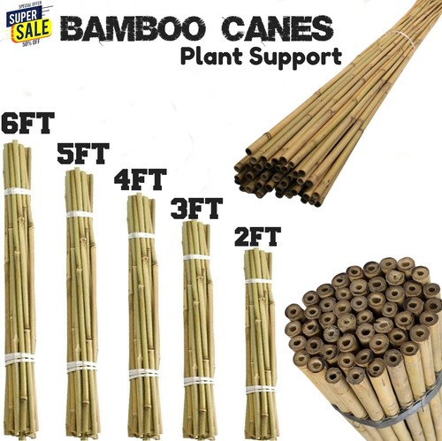 Bamboo canes heavy duty thick - duty,