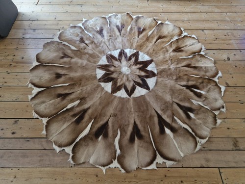 Genuine vintage springbok hide - springbok,