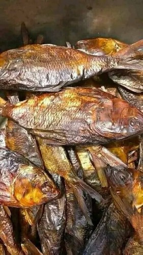 Dried bonga fish - bonga,