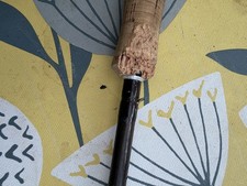Fenwick Iron feather 1ff