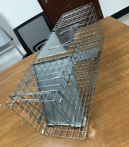 Dayplus squirrel rat trap - /,