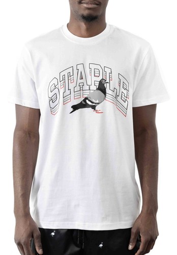 New staple pigeon - new,