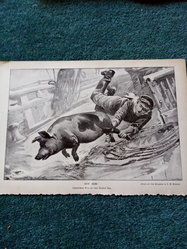 El28 ephemera 1897 - ephemera, picture